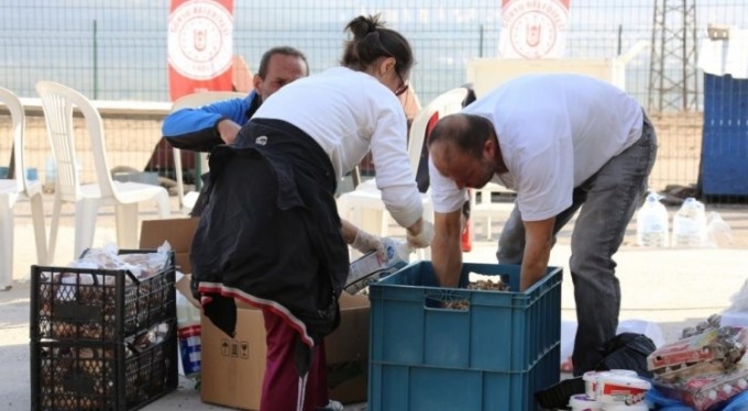 Hayvan dostu şehir; Gürsu