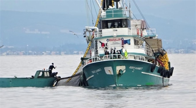 600 bin kilo hamsiyi saatler içinde yakaladılar
