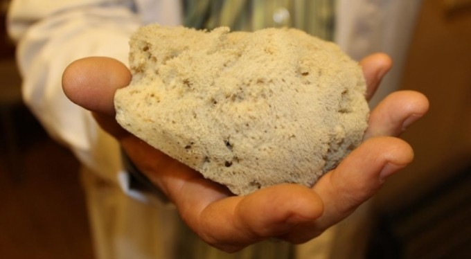 Bu süngerin fiyatını duyunca çok şaşıracaksınız!