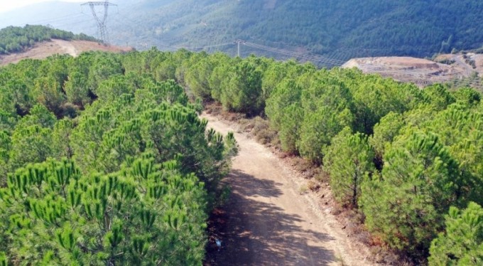 Osmangazi'de 'yeşil' dönüşüm