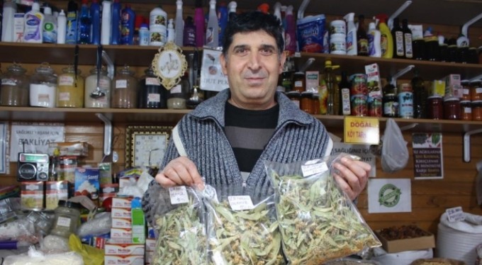 Gribe kalkan ıhlamurun kilosu 400 lira