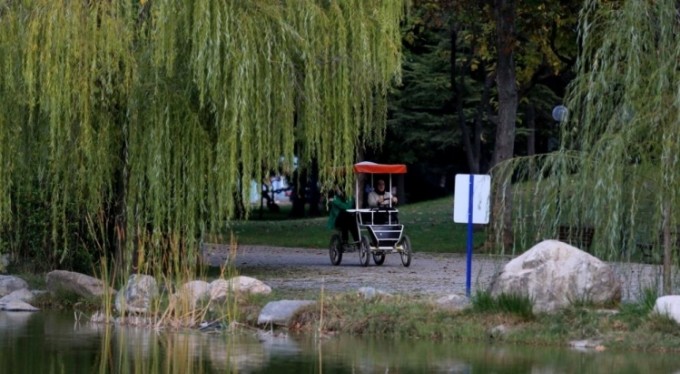 Botanik Park'ta sonbaharla birlikte renkli görüntüler