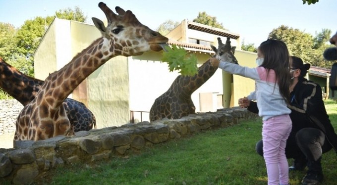 Hayvanat Bahçesi'nin özel konukları