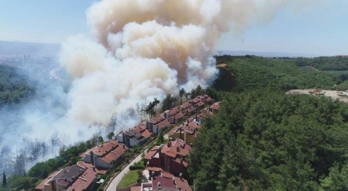 Bursa'da 7,5 milyon fidan toprakla buluşacak