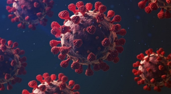 Türkiye'de son 24 saatte 228 kişi hayatını kaybetti