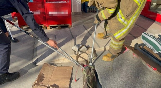 Süpermarkette yılan şoku