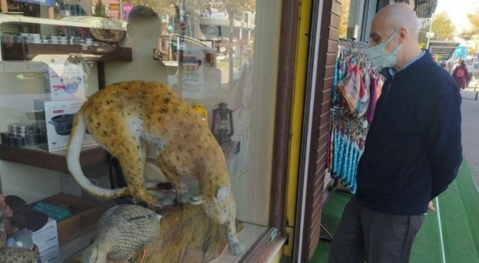 Bu dükk&acirc;na gelenleri geyikler ve çitalar karşılıyor