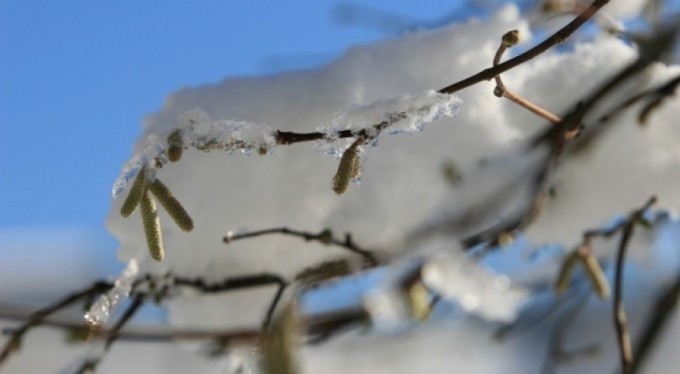 Bursalılara don ikazı