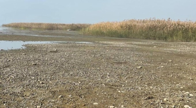 İznik Gölü'ndeki tehlike korkutuyor