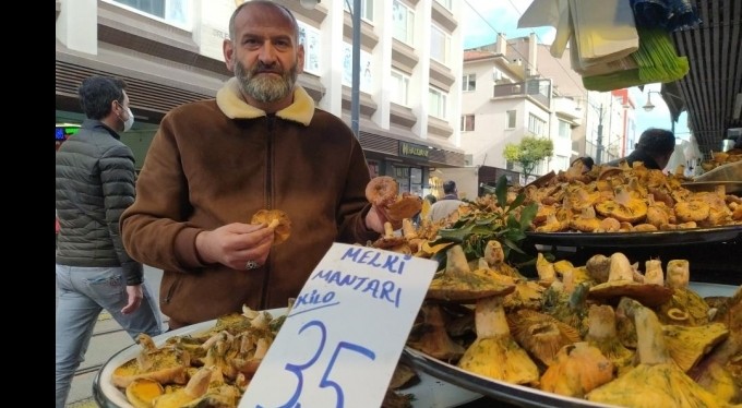 İnsanlar zehirli sanıp korkuyor, faydaları saymakla bitmiyor