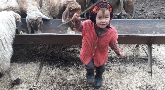 Yörük kızı Müslüme 72 saat geçmesine rağmen bulunamadı