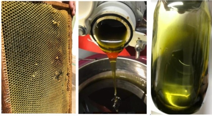 BUÜ'lü akademisyenler tamamen doğal arı yemi ve fonksiyonel bal üretti