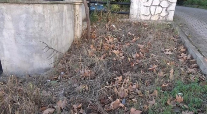 Bursa'da sokak kedilerini zehirlediler, mahalle sakinleri gözyaşı döktü