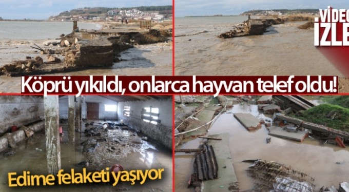 Edirne felaketi yaşıyor, sel sularına dayanamayan köprü yıkıldı