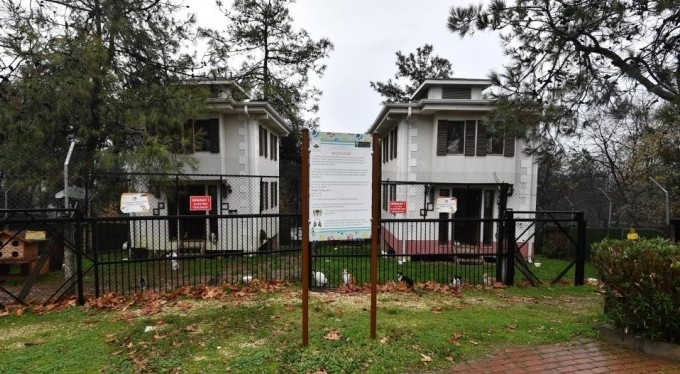 Sobalar engelli kediler için yandı