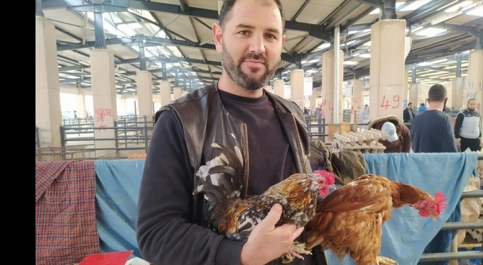 Köy tavuğu satışları patladı