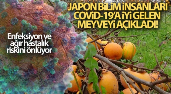 Japon bilim insanları Covid-19'a iyi gelen meyveyi açıkladı