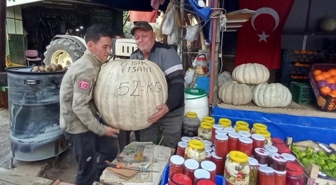 52 kiloluk dev kabak görenleri şaşırtıyor