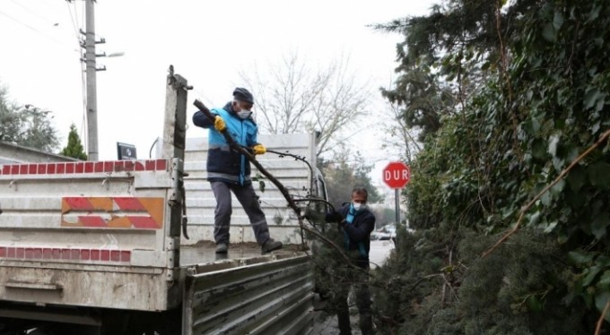 Bursa'da budanan ağaçların atıkları toprağa geri dönüyor