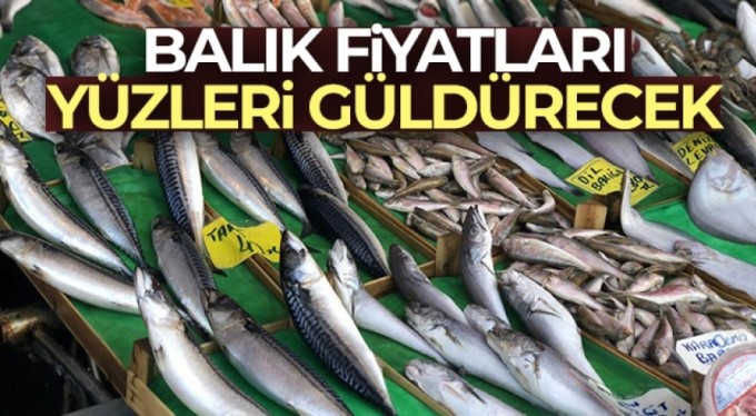Kar yağdı, balık fiyatlarının düşmesi bekleniyor