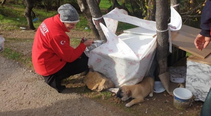 Fabrika atıkları can dostlarına yuva oluyor
