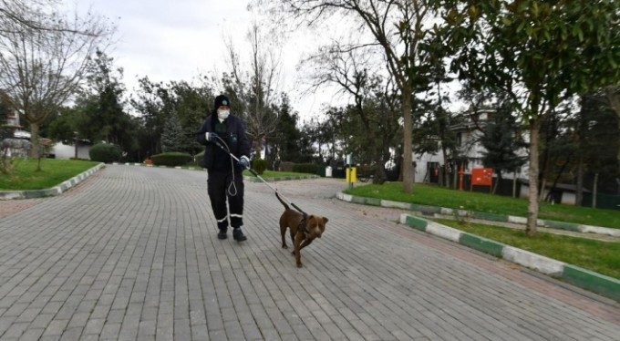 Bursa'da Pitbull operasyonu