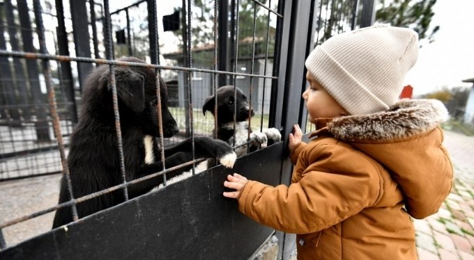 Can dostlara hem şifa, hem sıcak yuva