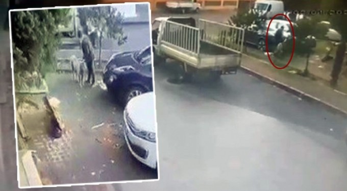Bursa'da köpek hırsızları kamerada! Kamyonetle gelip...