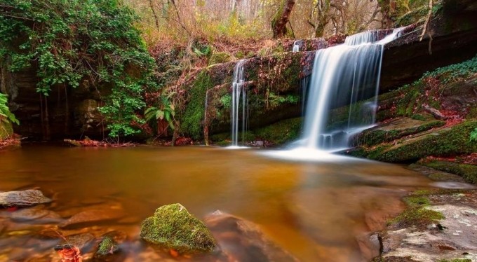 Türkiye'de en çok bu bölgede bulunuyor.. Tam 40 tanesini keşfetti