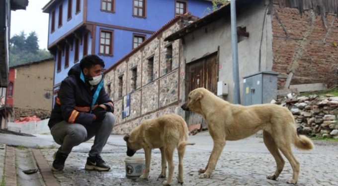 Sokak hayvanları için beslenme seferberliği
