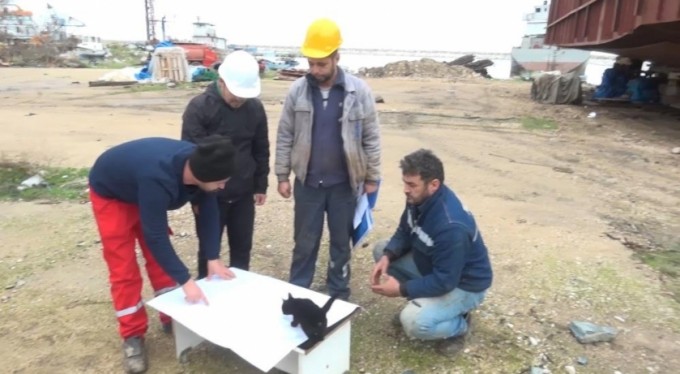 Haberi sabote eden kedi