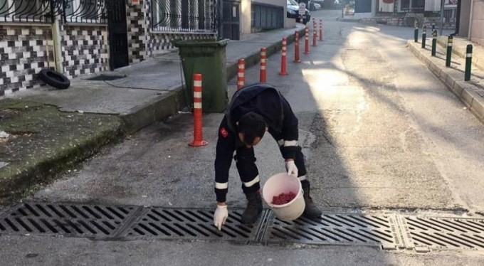 Osmangazi'de haşerelere karşı ilaçlama