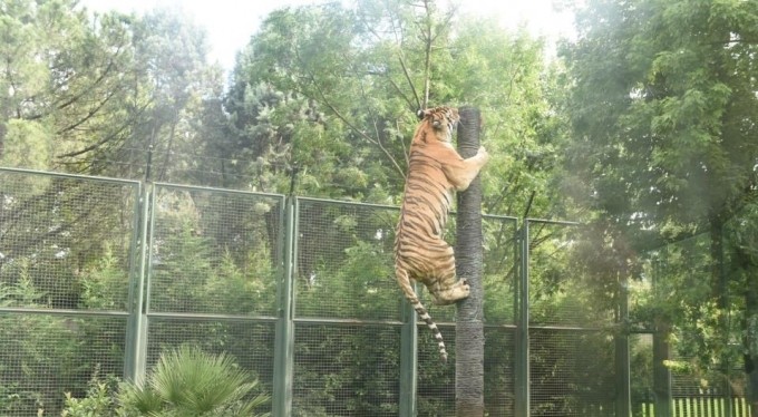 Hayvanat Bahçesi'nde çarşamba günleri 'Halk Günü'