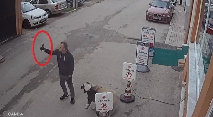 Pitbull köpeğini sokak köpeğine saldırttı, selfie çekti