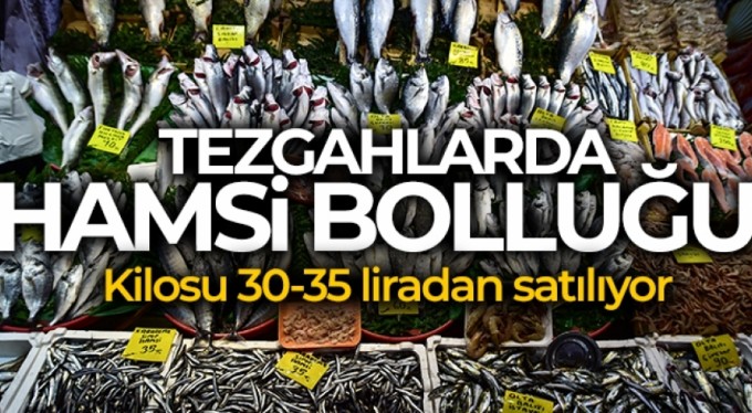 Tezgahlarda hamsi bolluğu yaşanıyor