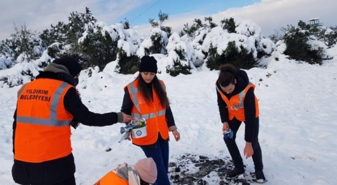 BTÜ öğrencileri sokak hayvanlarını unutmadı