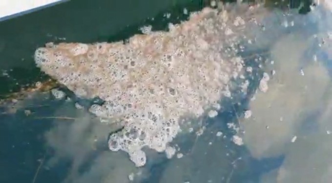 Çanakkale Boğazı'nda müsilaj kabusu