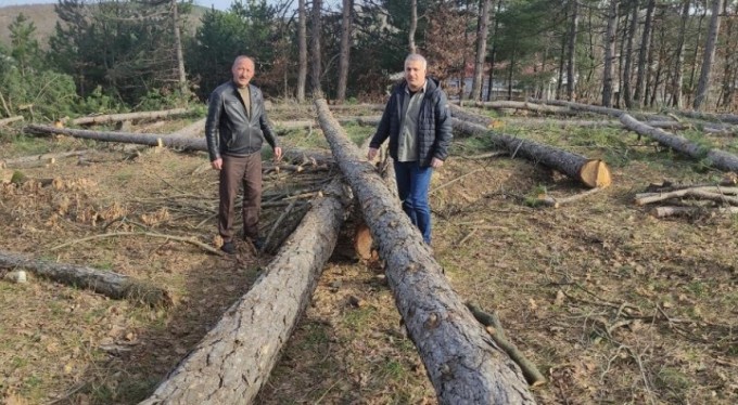 Milli Emlak'tan kiraladığı ormanda katliam yaptı