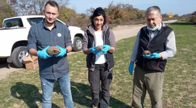 Tedavi edilen 335 hayvan doğaya salındı