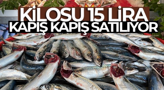 Kilosu 15 lira, kapış kapış satılıyor