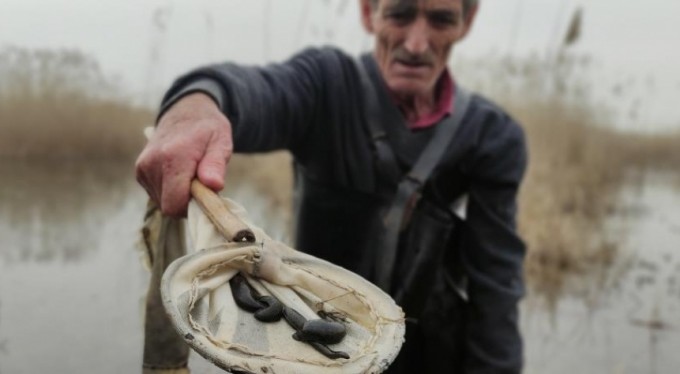 Şifalı sülük avcısı buz gibi suyun içinde saatlerce sülük arıyor