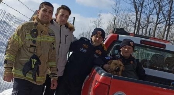 İtfaiye ekipleri buz tutan gölete düşen köpeği donmak üzereyken kurtardılar