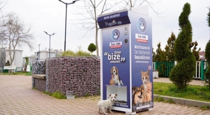 Kestel'de sokak hayvanları için 'Mamamatik' uygulaması