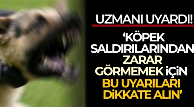 Köpek saldırılarından zarar görmemek için bu uyarıları dikkate alın