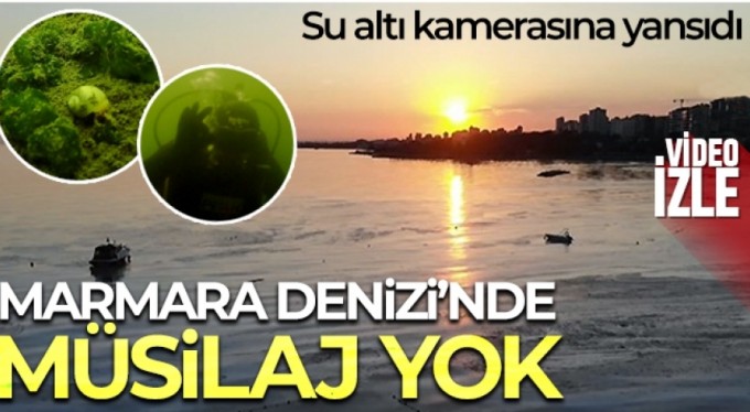 Marmara Denizi'nde müsilaj yok: Su altı kamerasına yansıdı