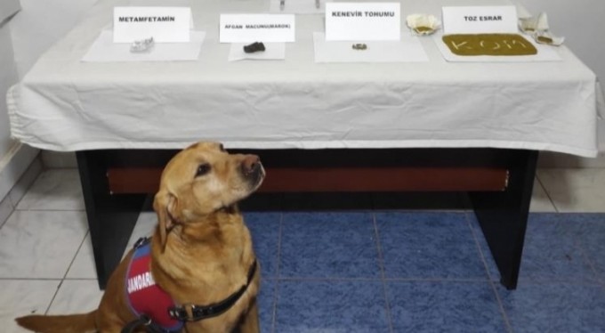 Çanakkale Ezine'de zehir tacirlerine geçit yok