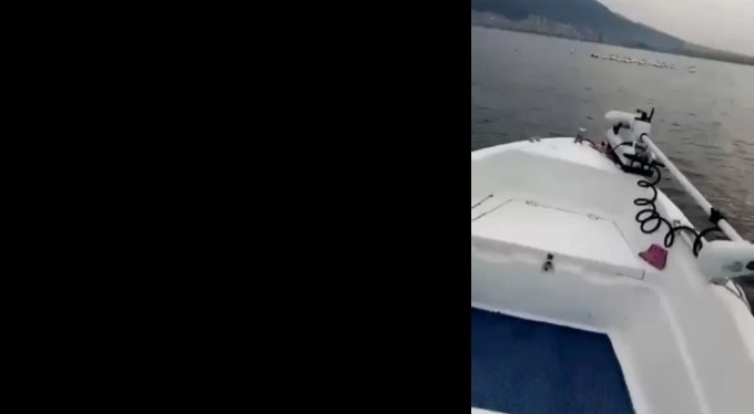 Bursa'da pelikan sürüsü kameralara yansıdı