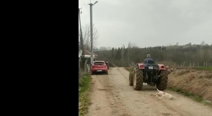 Bursa'da av tüfeği ile vurduğu köpeği traktörüyle sürükledi