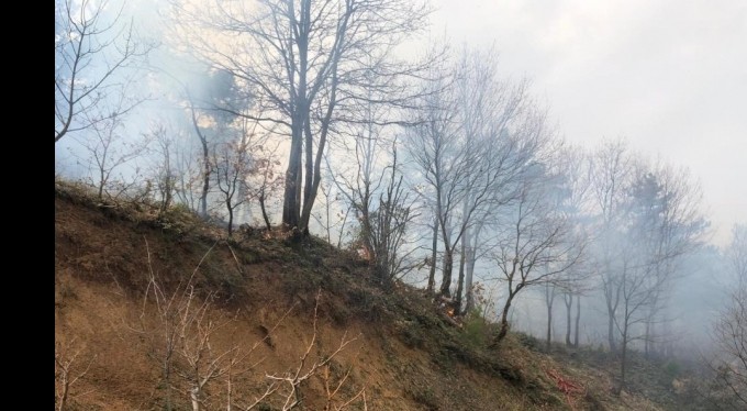 Bursa Dağyenice'de orman yangını