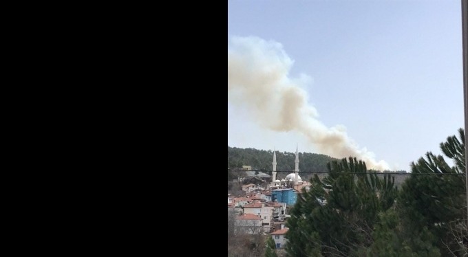 Bursa'da ikinci orman yangını